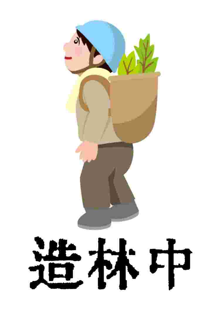 造林中